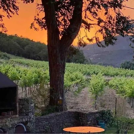 La Calade - Havre De Paix - Gulf Of Saint-tropez - Villa *