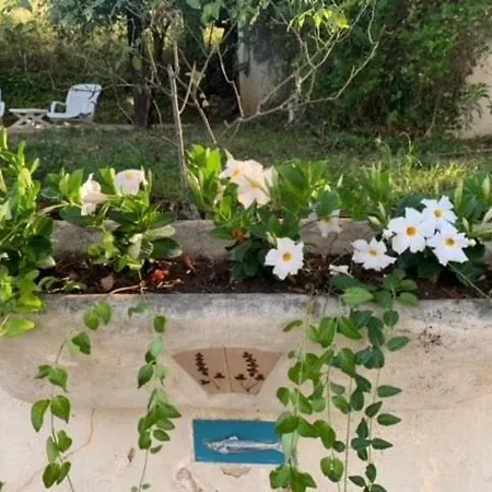 La Calade - Havre De Paix - Gulf Of Saint-tropez - Villa *